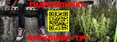 мяу мяу мука Мариинск